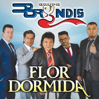 Grupo Bryndis - Flor Dormida