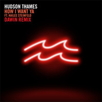 Hudson Thames - How I Want Ya (Dawin Remix)