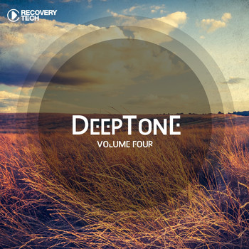 Various Artists - DeepTone, Vol. 4