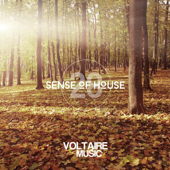 Various Artists - Sense of House, Vol. 28