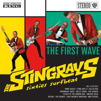 The Stingrays - The First Wave