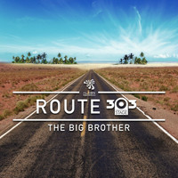 The Big Brother - Route 303