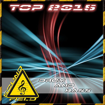Various Artists - Top 2015 Drum & Bass