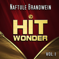 Naftule Brandwein - Hit Wonder: Naftule Brandwein, Vol.1