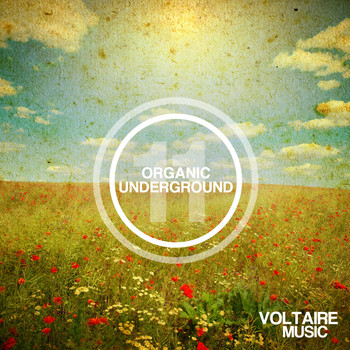 Various Artists - Organic Underground Issue 11