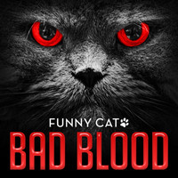Funny Cats - Bad Blood (Funny Cats Singing Version)