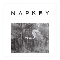 Napkey - Pegasus