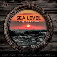 Sea Level - Live at the Ivanhoe Theater, Chicago, 1977 - FM Radio Broadcast