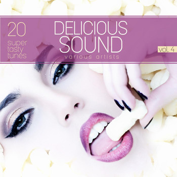 Various Artists - Delicious Sound, Vol. 4 (20 Super Tasty Tunes)