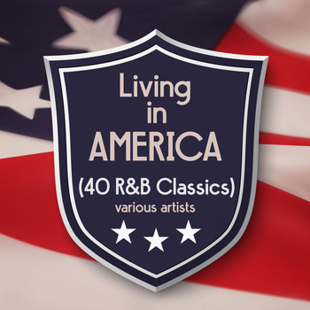 Various Artists - Living in America (40 R&B Classics)