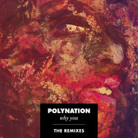Polynation - Why You (The Remixes)