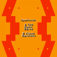 Tom Furse - The Optic Nerve
