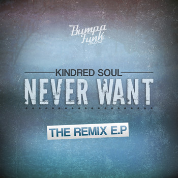 Various Artists - Never Want -  Remixes