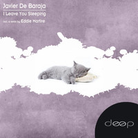 Javier De Baraja - I Leave You Sleeping