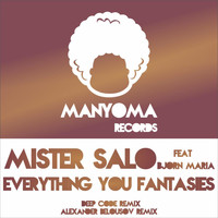 Mister Salo - Everything You Fantasies