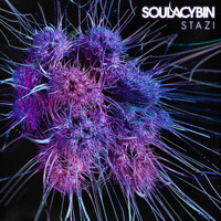 Soulacybin - Stazi