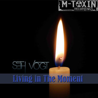 Seth Vogt - Living In The Moment