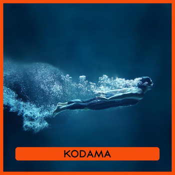 Various Artists - Kodama