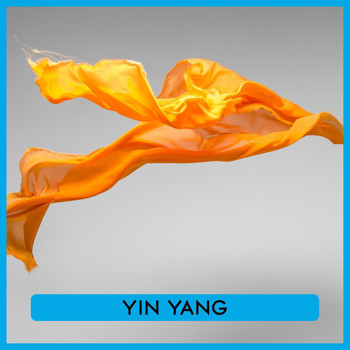 Various Artists - Yin Yang