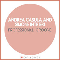 Andrea Casula - Professional Groove