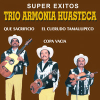 Trío Armonía Huasteca - Super Éxitos