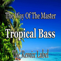 Paduraru - The Way Of The Master / Tropical Bass (Inspiring Proghouse Meets Vibrant Deephouse Music) - Single