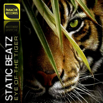 Static Beatz - Eye of the Tiger
