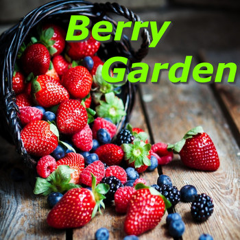 Various Artists - Berry Garden