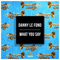 Danny Le Fond - What You Say