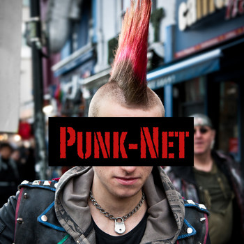 Various Artists - Punk-Net
