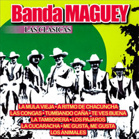 Banda Maguey - Las Clasicas