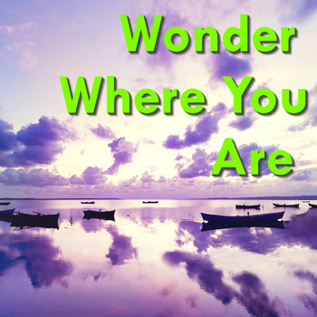 Various Artists - Wonder Where You Are