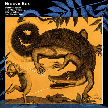Various Artist - Groove Box