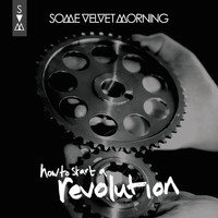 Some Velvet Morning - How to Start a Revolution