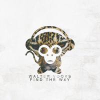 Walter Vooys - Find the Way