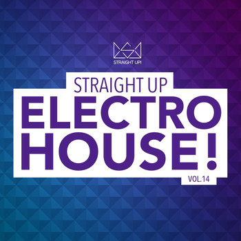Various Artists - Straight Up Electro House! Vol. 14