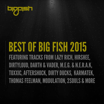 Various Artists - Best of Big Fish 2015