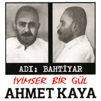 Ahmet Kaya - İyimser Bir Gül