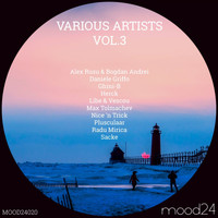 Various Artist's - VA Vol 3