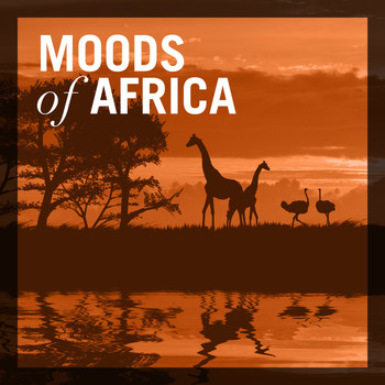Various Artists - Moods of Africa