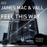 James Mac & VALL - Feel This Way