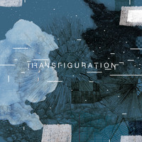 Jim Perkins - Transfiguration