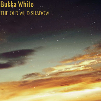 Bukka White - The Old Wild Shadow