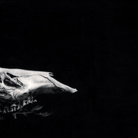 William Ryan Fritch - Entirety
