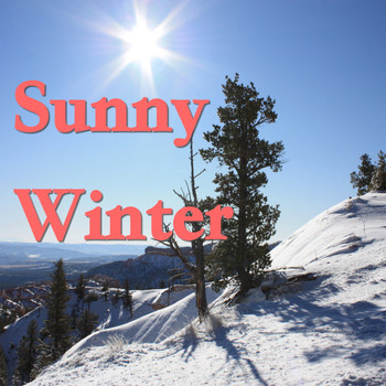 Various Artists - Sunny Winter