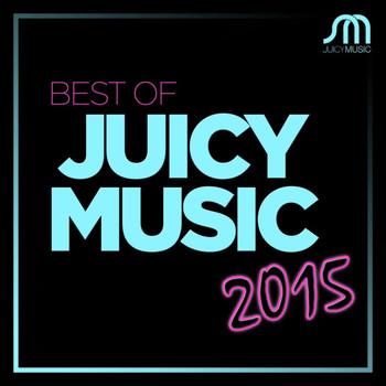 Various Artists - Best of Juicy Music 2015