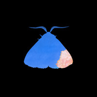 Chairlift - Crying in Public
