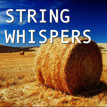 Various Artists - String Whispers