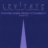 Levitate - Homeless Irish Cowboy, Pt. 2