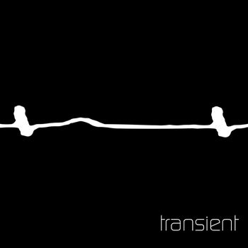 Transient - Transient